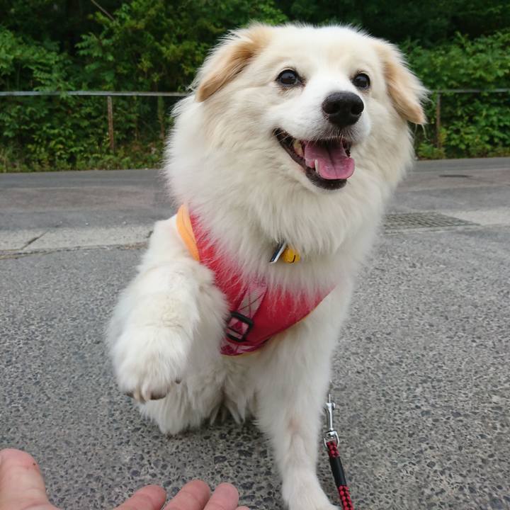 Dbef8cc1 8e23 4f82 8273 ec8cf6ade2a9 1532726828036