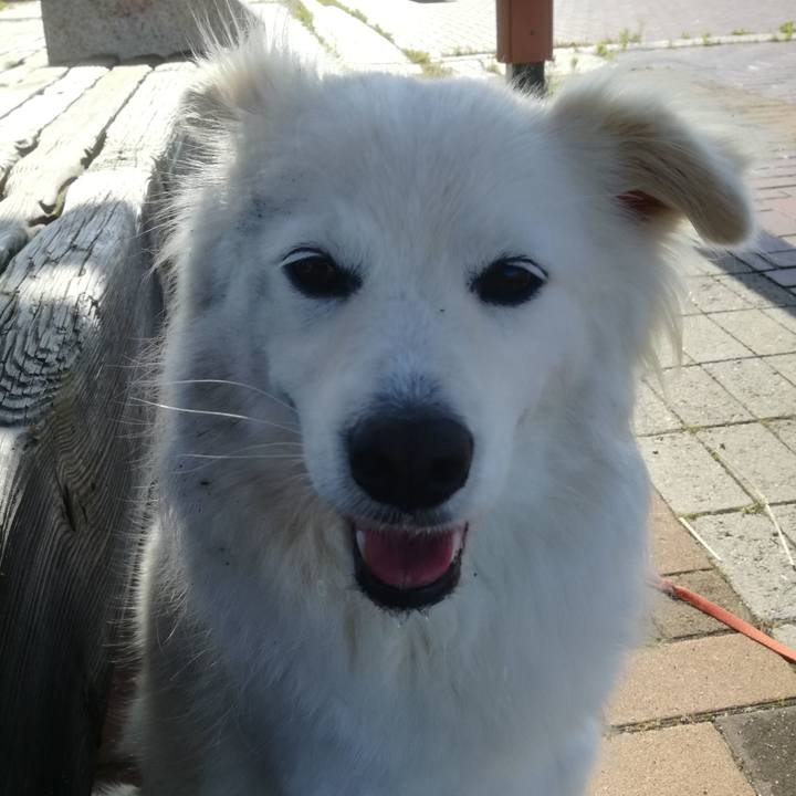 Dbef9799 289b 4834 b0e4 19cc2cd85722 1527120878445