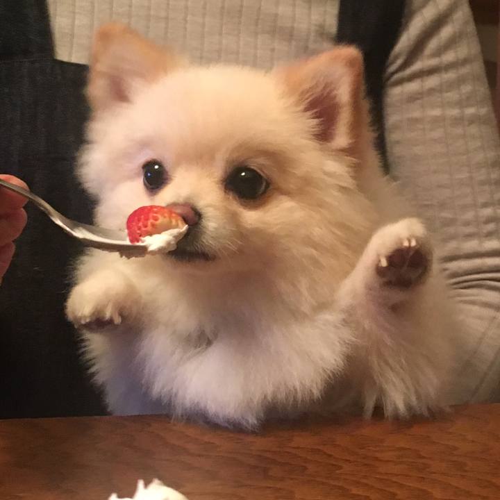 Dbef9ab7 c590 45e3 bc57 0f9d18166f57 1576842767758