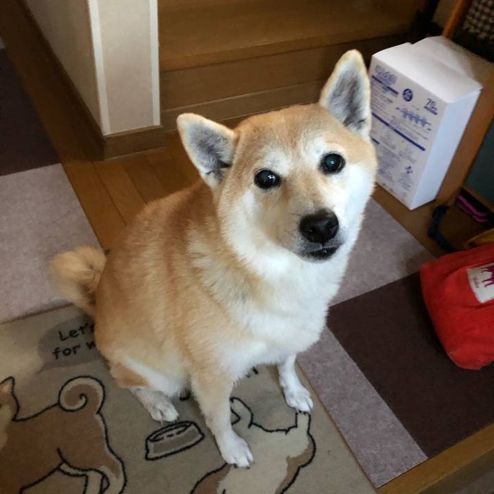 Dbefb339 5d9d 4d76 93e2 0d0b30dff4d8 1575363028878