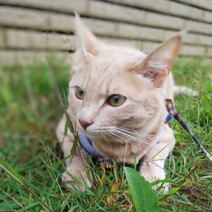 Dbf06238 9765 490d a676 ba065de1af15 1570057129329