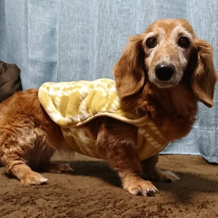 Dbf0766a dadb 463b 98b2 9959c225fcf2 1514290765376