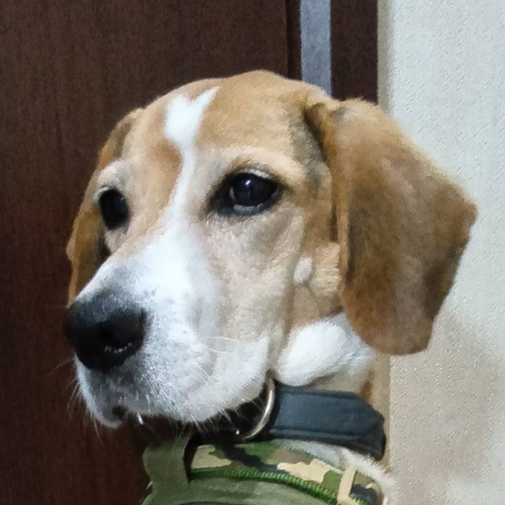 Dbf086f9 dbfa 4223 b43b ff45eb5f3143 1731583850839