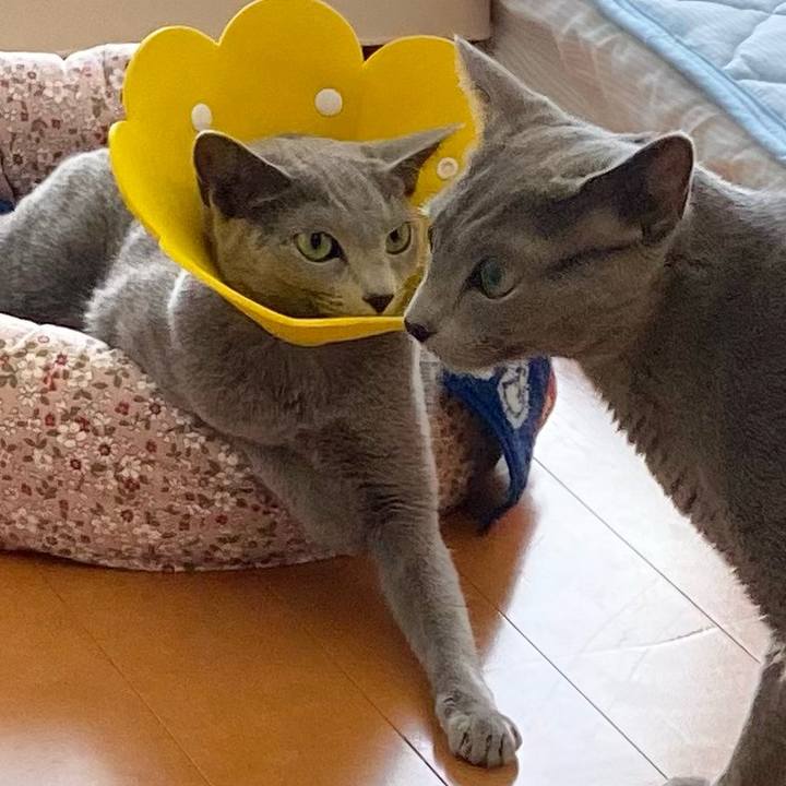 Dbf09789 fe94 4d43 ac70 5be88228ba63 1632036255987