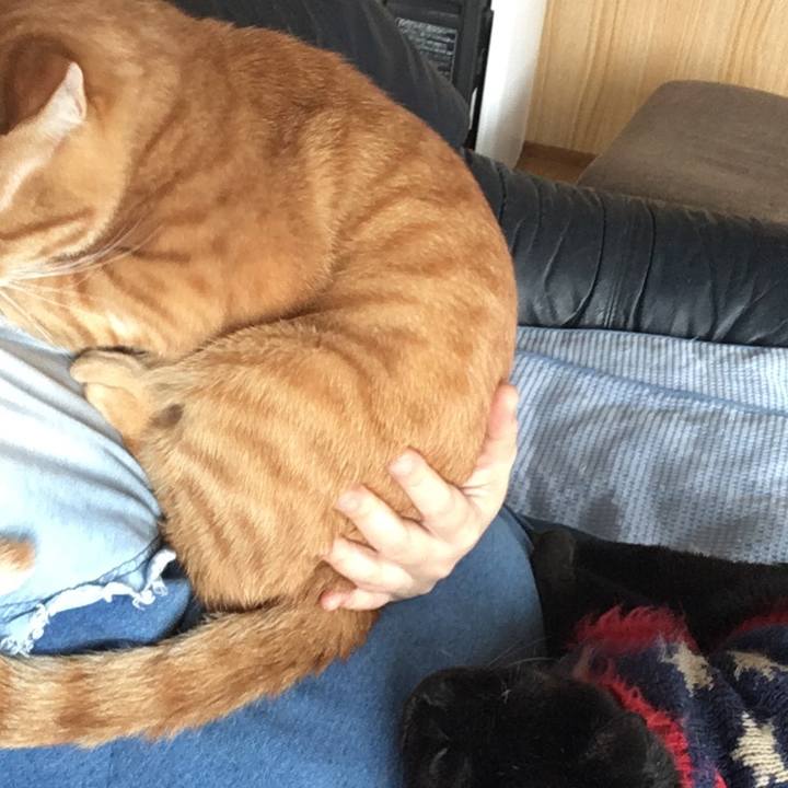 Dbf0ebdc aacf 47fd b23c ee203babaab6 1541899030049