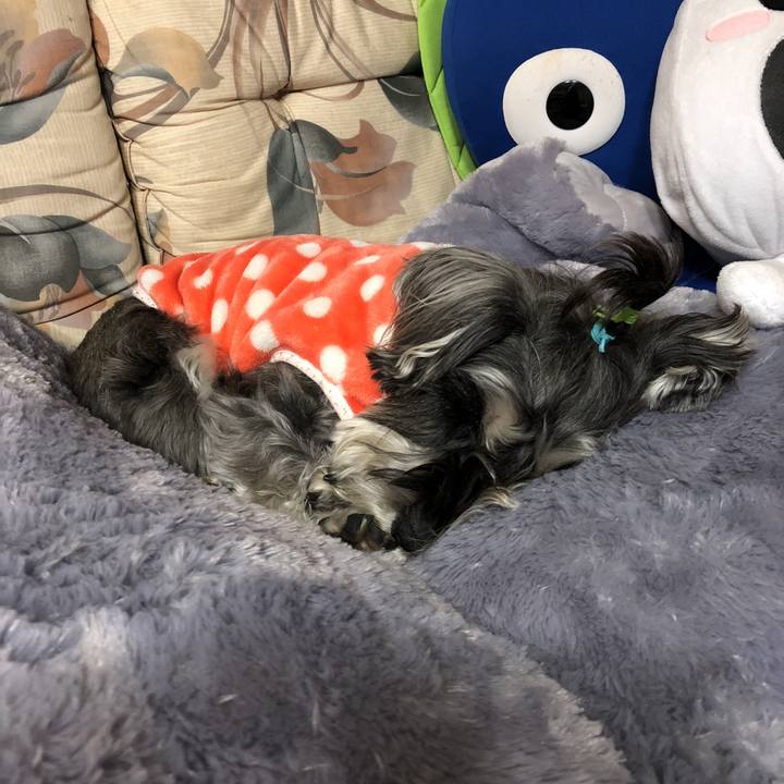 Dbf10224 b34b 4404 8360 3b964d1ccf46 1519461267803