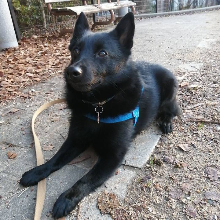 Dbf11192 e1b3 4a86 b085 395d55efbe32 1611612638973