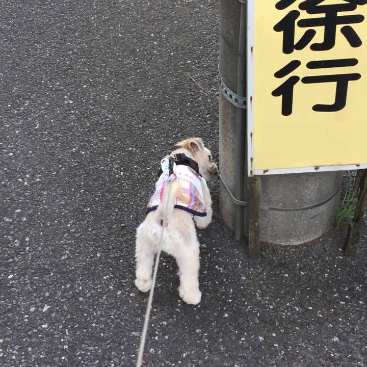 Dbf17279 5793 480a a7f1 d755b9d60eb5 1534289269075