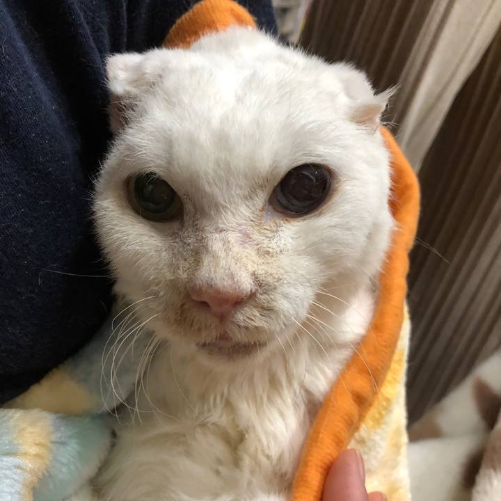 Dbf1e496 b356 44a4 a21f e67e4fe83970 1641394539445