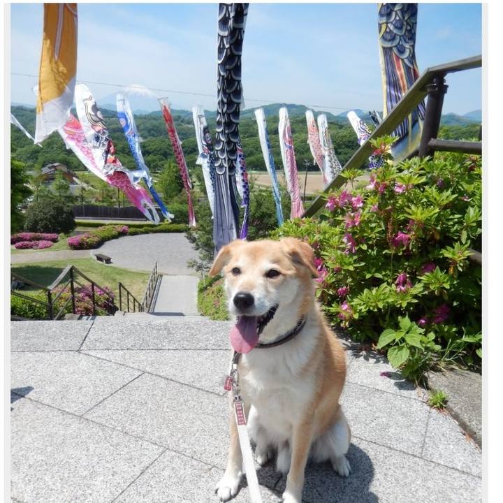 Dbf1e8f9 2bf5 4cd6 8559 2c307fe6a252 1525075656126