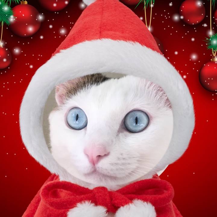 Dbf1ef03 6100 44c0 b40a e4d486342b9f 1513467607156