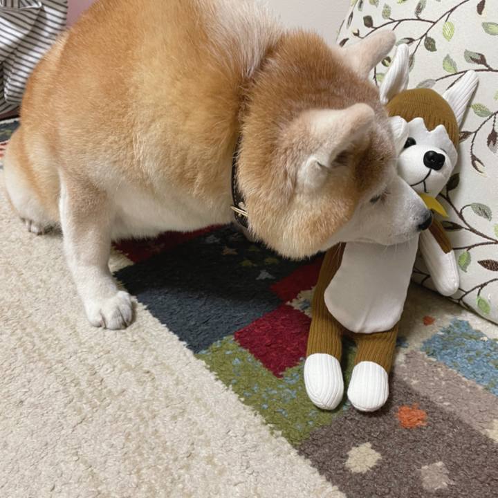 Dbf1f633 3bcf 4a00 814c 2377dc654b7e 1650370281521