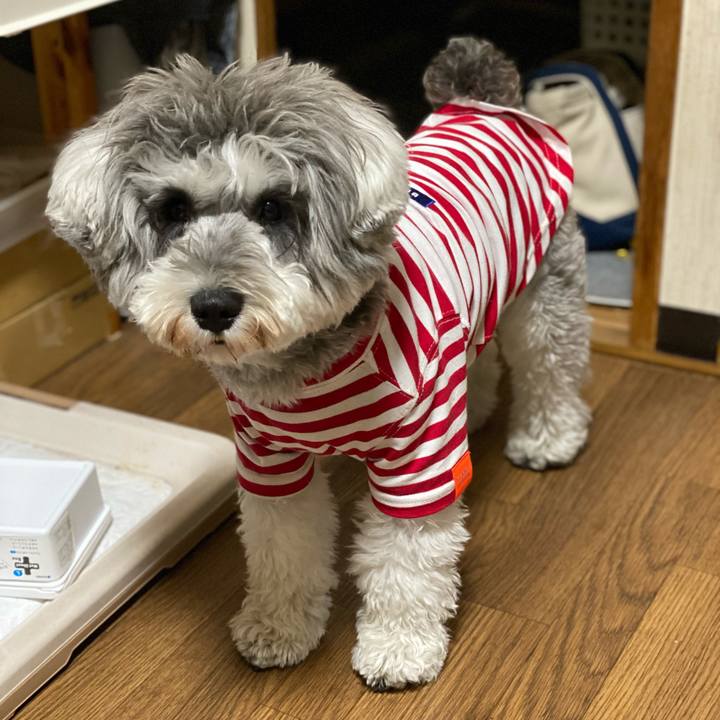 Dbf210e1 fab3 4f6d a484 5c9aa25e8994 1607957753930