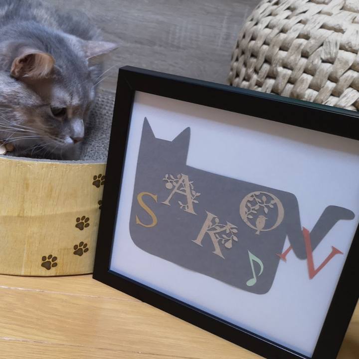 Dbf2240e 3aa1 470f a9d6 22b415203d09 1580823363511