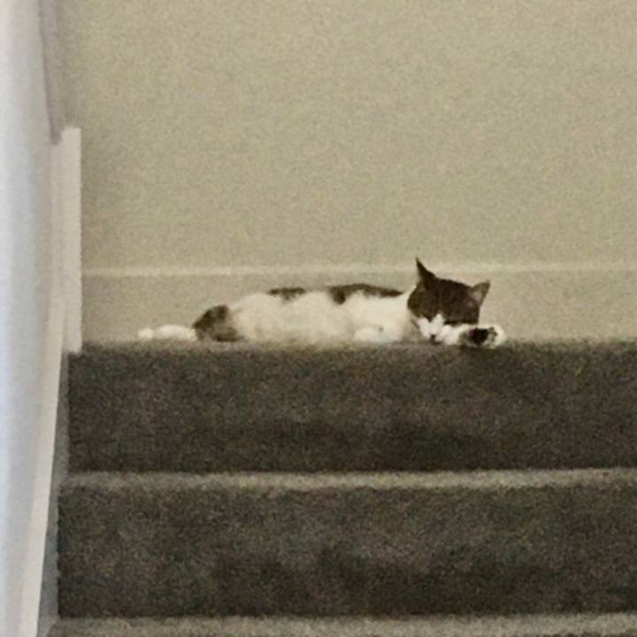 Dbf2376a fc8e 4928 afee 0d342569dda4 1658797504479