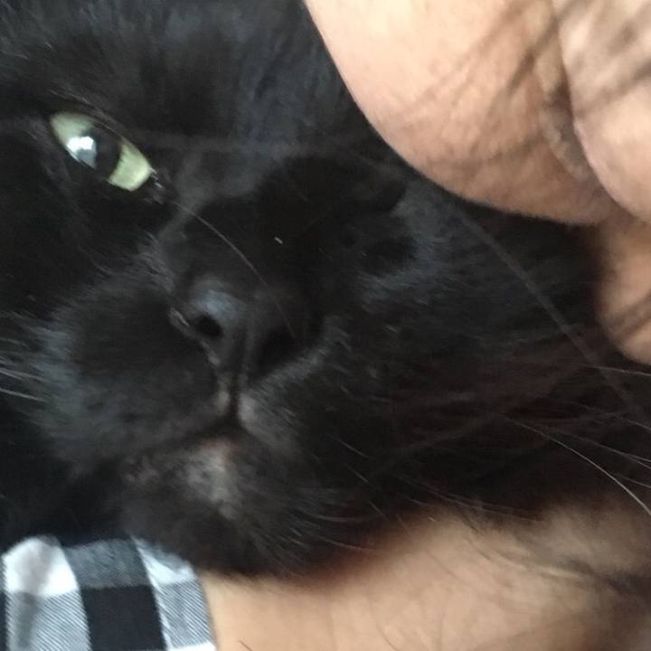 Dbf2568c 9cb5 4fa1 9655 b8c49e58450d 1557183284508