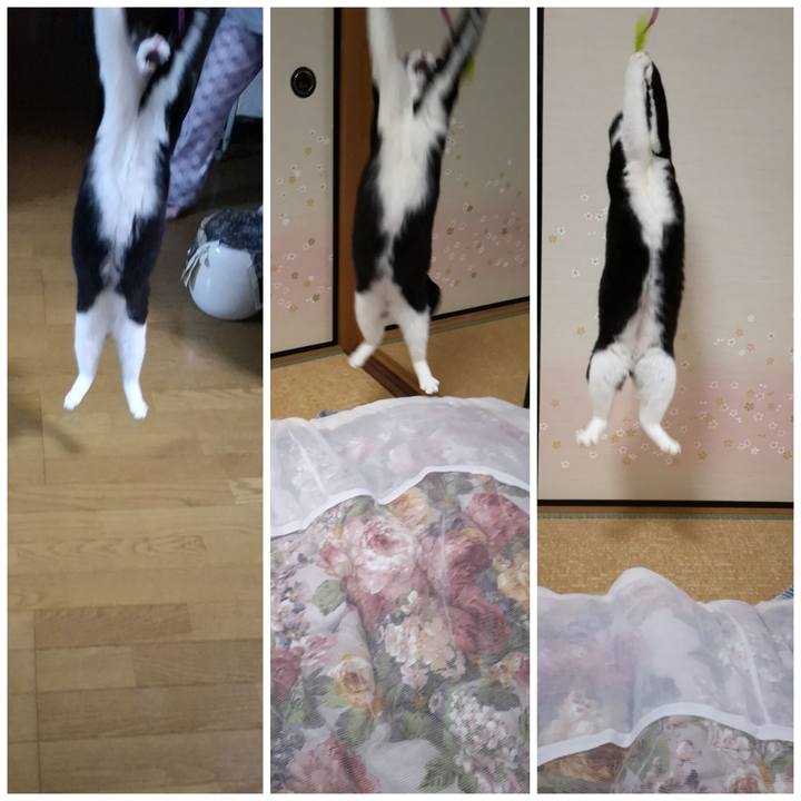 Dbf2ad5f ca29 4bae 8a0b 14673e53028f 1586420943923