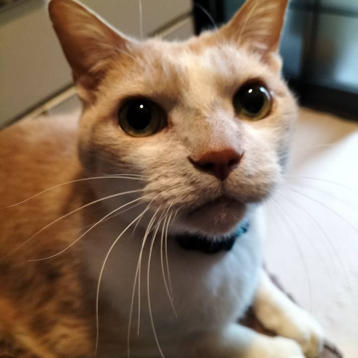 Dbf2ebed 14a7 44dc a122 61ede5938f21 1648248061716