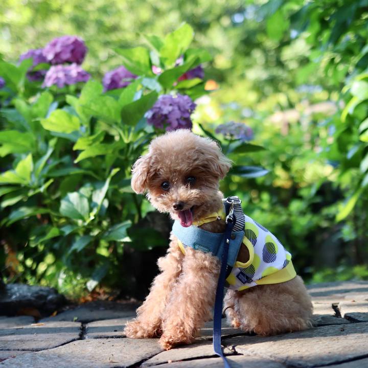 Dbf31219 5d3e 45a1 89ad d1811b68d659 1604485463598