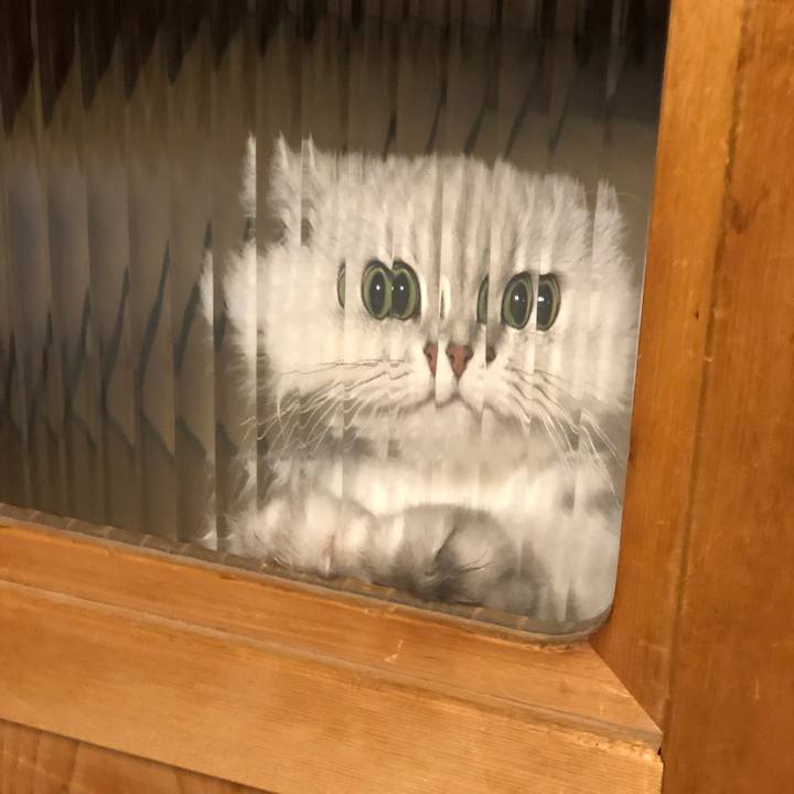 Dbf3c447 fc5a 4df6 8506 75254483fdf0 1555589262683