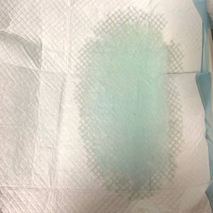 Dbf3c4dc b88a 47a3 a7d2 7a76a2ab21be 1559642714069