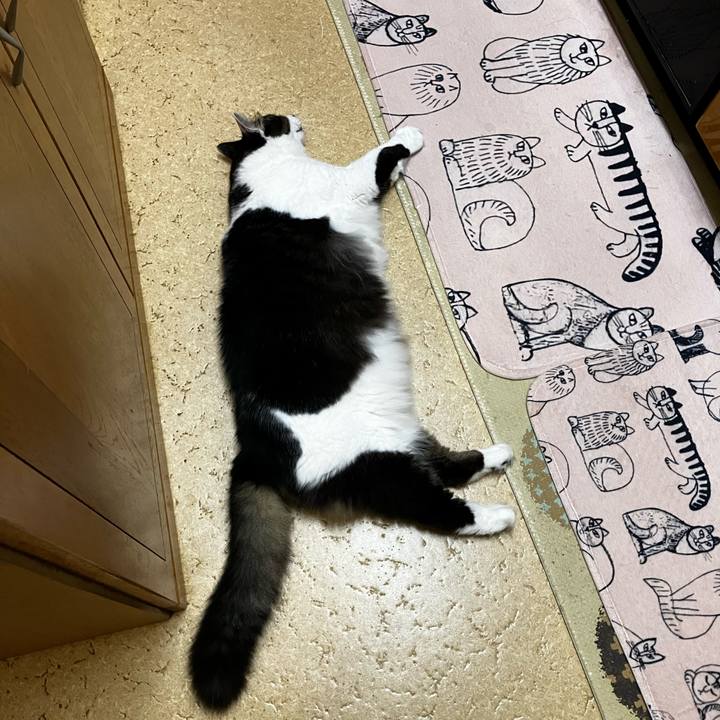 Dbf3da19 0b5a 405f ad1b 922b2fa0337c 1727964057662