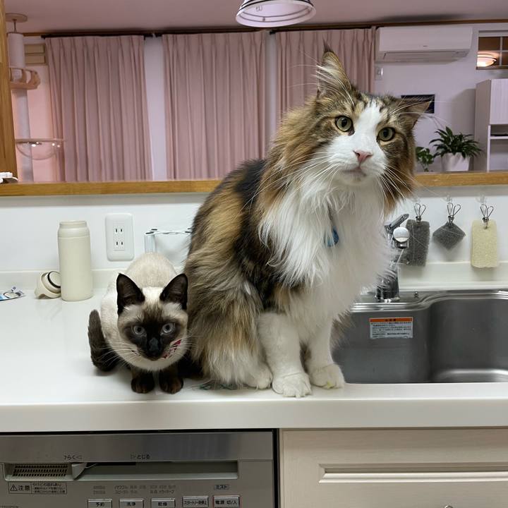 Dbf4190f 2ae7 4f8c 9a7e 2cfd428a62a5 1705348658783