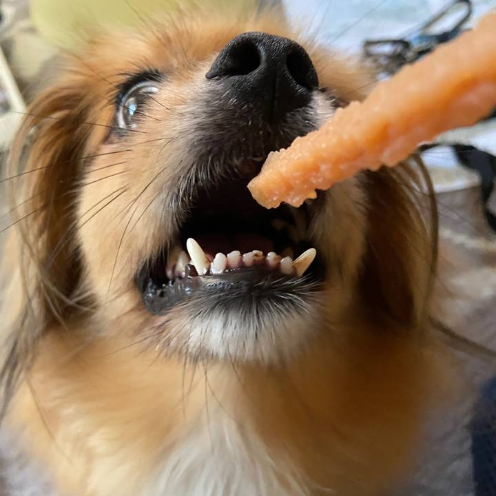 Dbf43f6f 3cb1 44e0 b19c 21e97f248c11 1626383998002