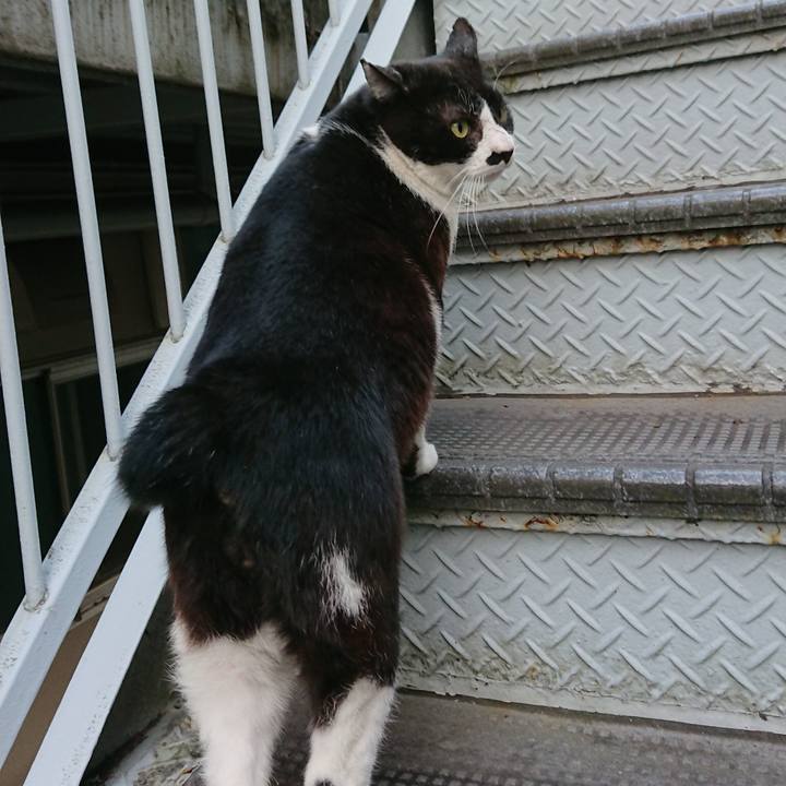 Dbf44479 5fca 4282 9143 a0b90137e507 1541230309735