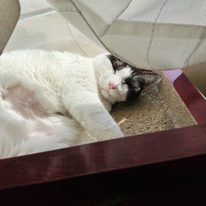 Dbf46dee 4c0c 4f54 8a44 0eb926277cf4 1680053415579