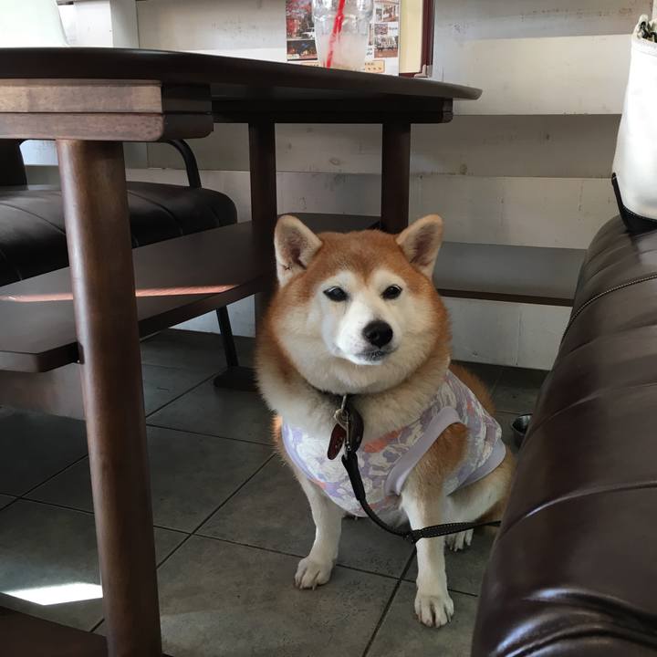 Dbf4b40b bb0b 4297 83fd 678e4d9581c6 1542000184019