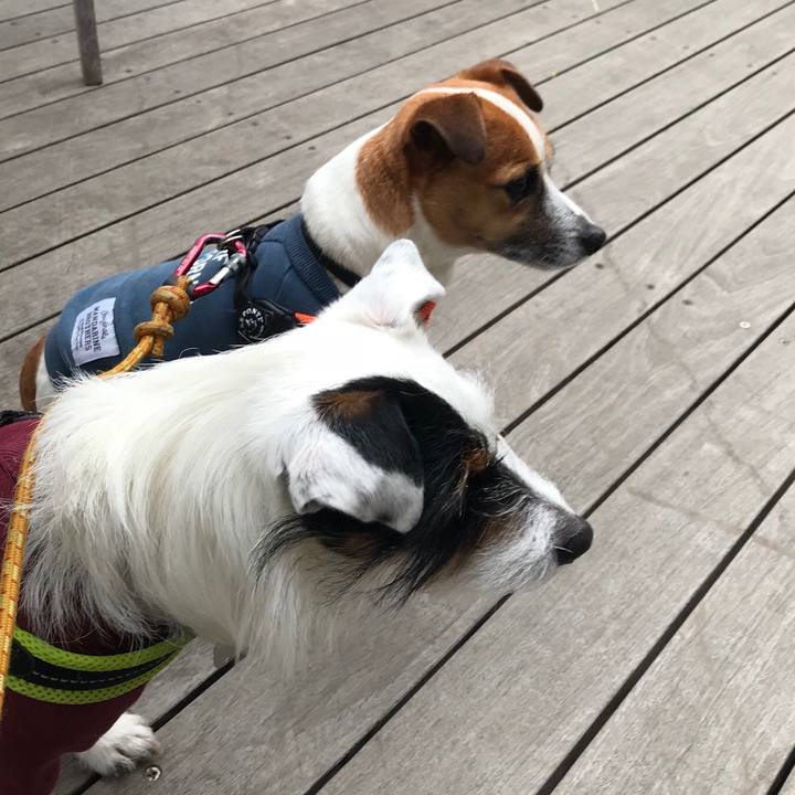 Dbf4be81 00b0 497b b749 d7d290249b0a 1521377697618