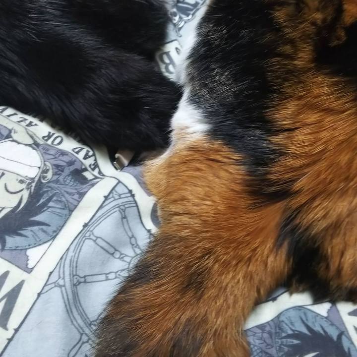 Dbf50b69 2f83 45a2 a77c c25a177580ec 1569794151435