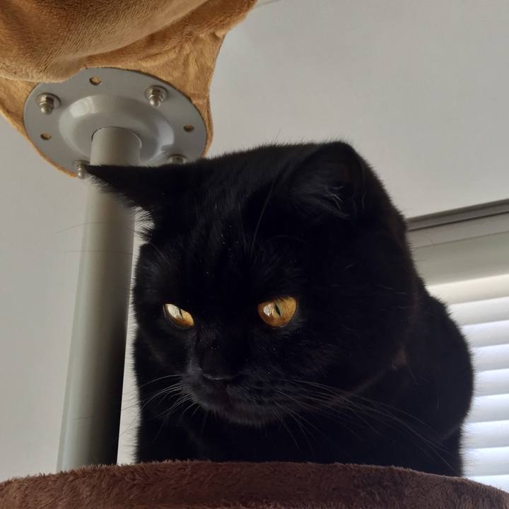 Dbf52056 e7f6 4cdb 92cf 21ac0681235b 1569457929365