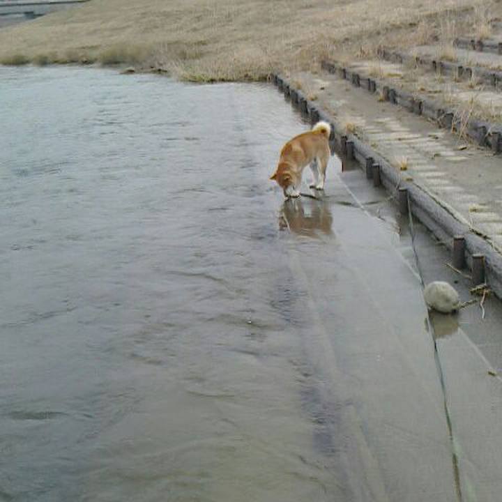 Dbf52fa8 8889 4b2a a1e2 6cddf4cc158c 1519267830386