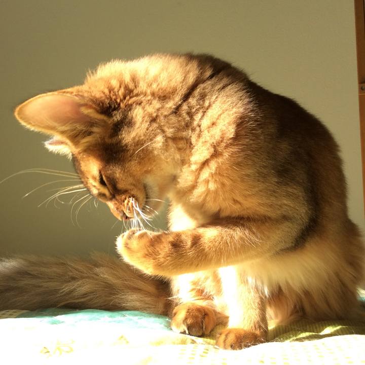 Dbf5383f 4595 4bbe b501 38f092cf631f 1575856192731