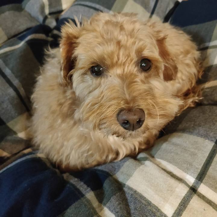 Dbf54ae5 687b 431c bb7d aa5a0b6aafc2 1604831581407