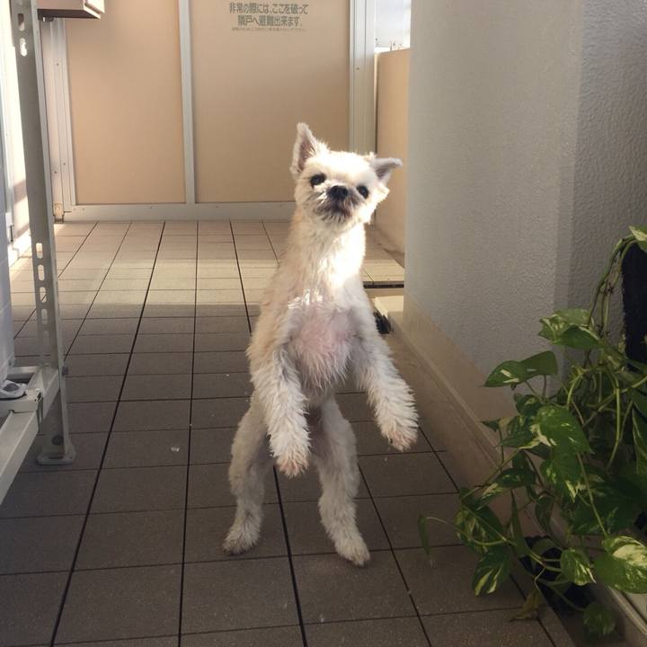 Dbf55fee 1483 4c84 a3da c50824892545 1543122161955