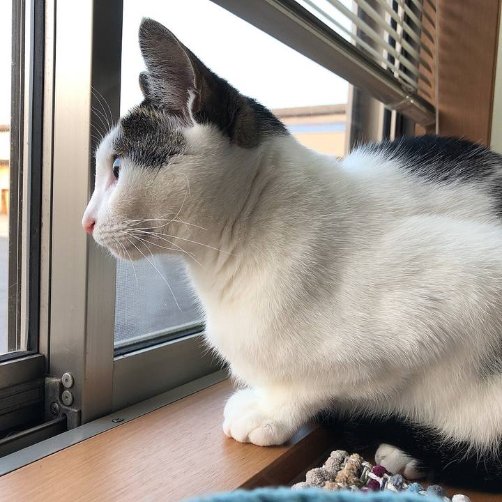 Dbf56a6f a30e 49bb 9be7 8c02a126bbc4 1652570839226