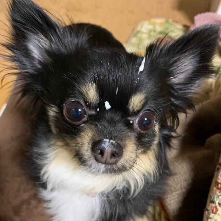 Dbf5c4f0 ccb9 4ca0 8078 211fa96a8b2c 1546725312493