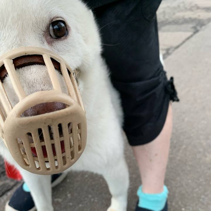 Dbf5dcab a3cd 41a3 a414 4d1cad04a5ae 1599254262248