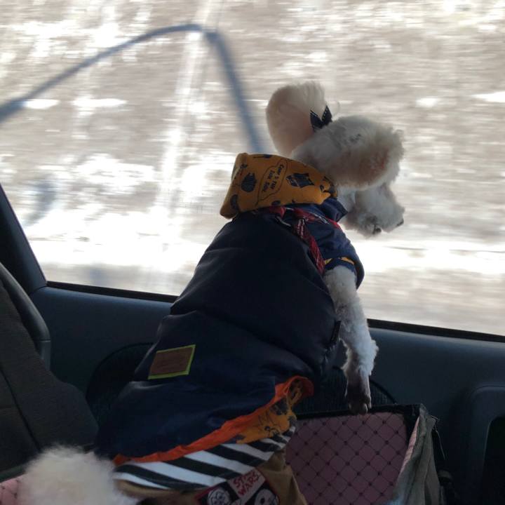 Dbf60c64 ccc9 4728 bd0e 4633e1430af3 1551533898837