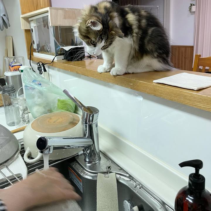 Dbf626ab 25f3 45ff b632 a4e89e21ec7b 1635244579234