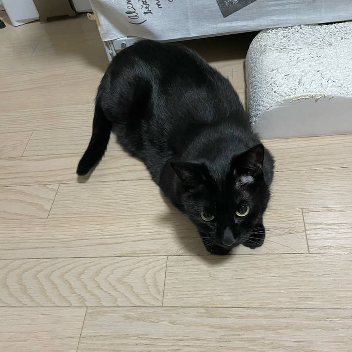 Dbf64276 44c1 4d9e b71e dba79bf5cda1 1736946899750