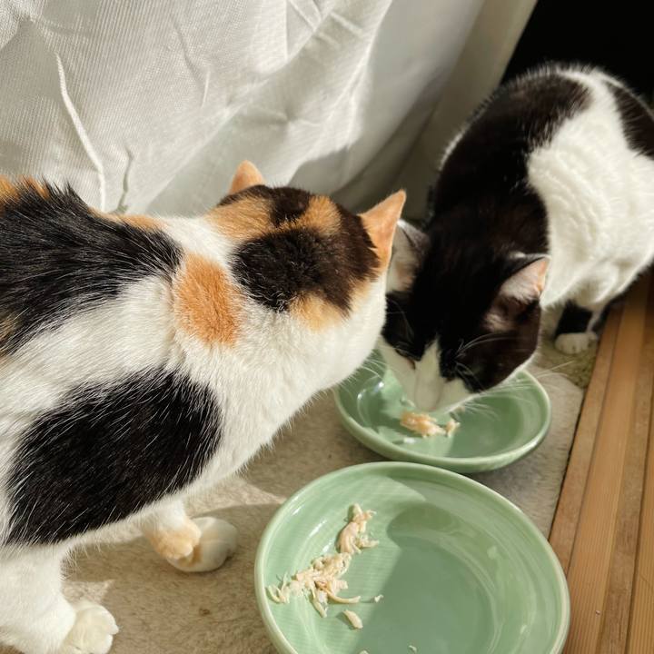 Dbf65f5d da20 4e8d bbd0 e6ab566468fc 1648089752859