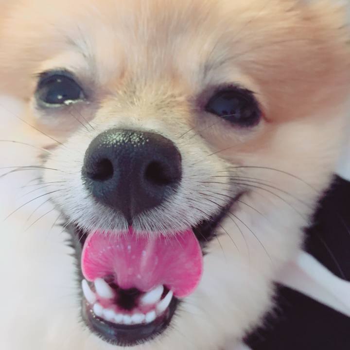 Dbf6903e d986 42b6 b87e 655c838d7561 1518849358581