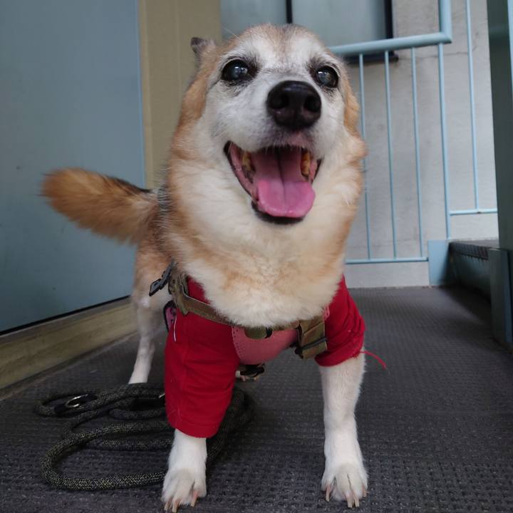 Dbf718ee 6ea2 4665 aebc 91fd12aa50df 1722347085750