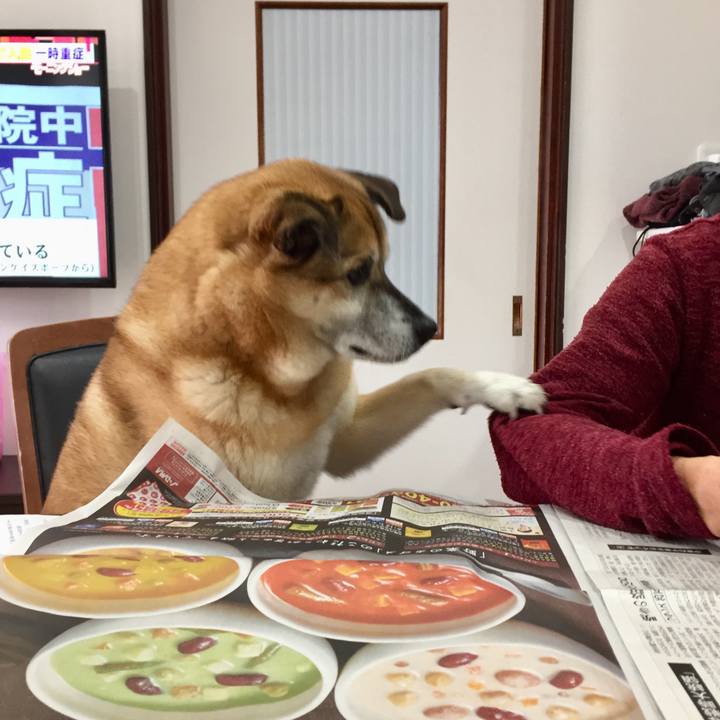 Dbf750d7 5a8c 44bf be6d f653534dc058 1585091763400