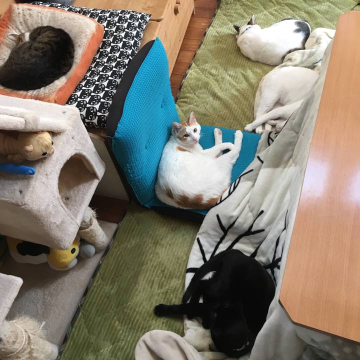 Dbf77eee 96ca 47da 8071 93fa0deadf0e 1553349933216