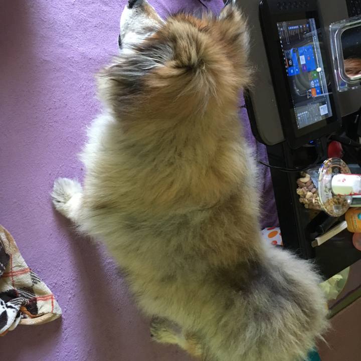 Dbf783a0 2ef3 4820 a007 3dd502aad9d0 1599048452729